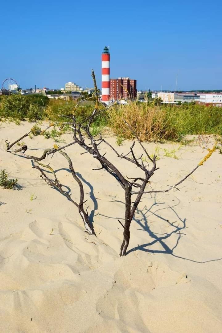 appartement les pieds dans l'eau Berck Extérieur photo